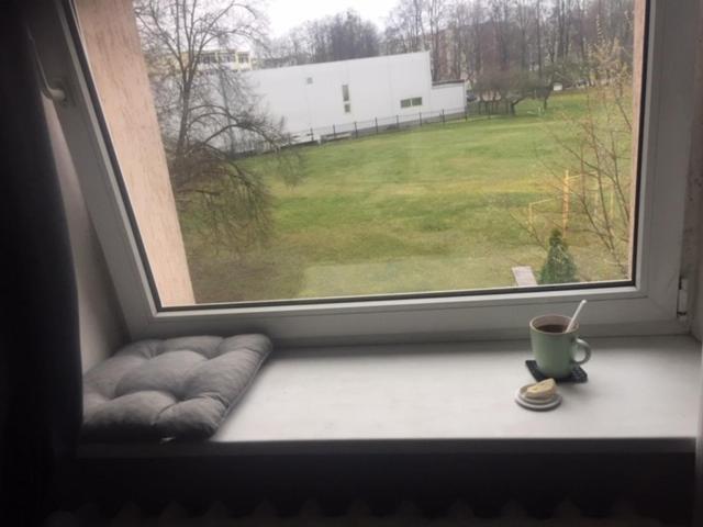 Studija Virs Cukraines Druskininkuose Druskininkai Eksteriør bilde